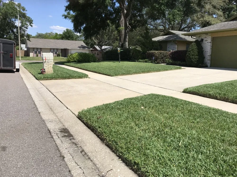 Local yard cleanup service experts serving Riverview, FL - Bowmanite Lawn Care