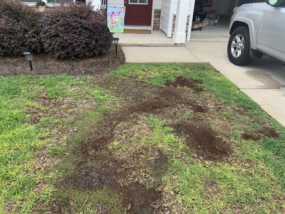 Trusted landscape installation near you across Wilmington, NC - Bowman's Best Lawn Care