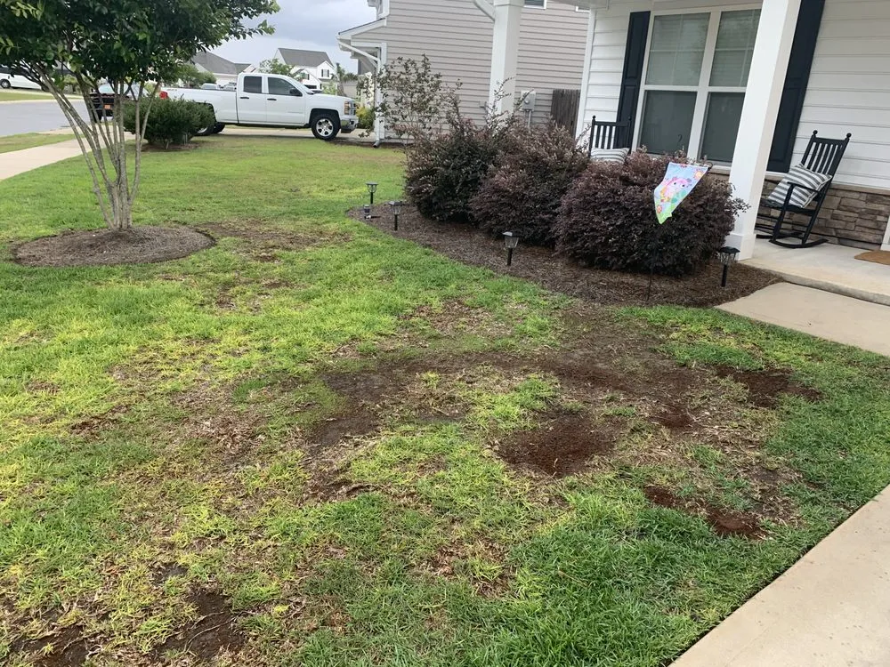 Top-rated residential landscaping experts serving Wilmington, NC - Bowman's Best Lawn Care