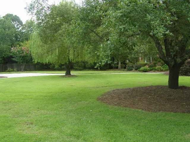 Expert outdoor landscaping for residential properties across Wilmington, NC - Bowman's Best Lawn Care