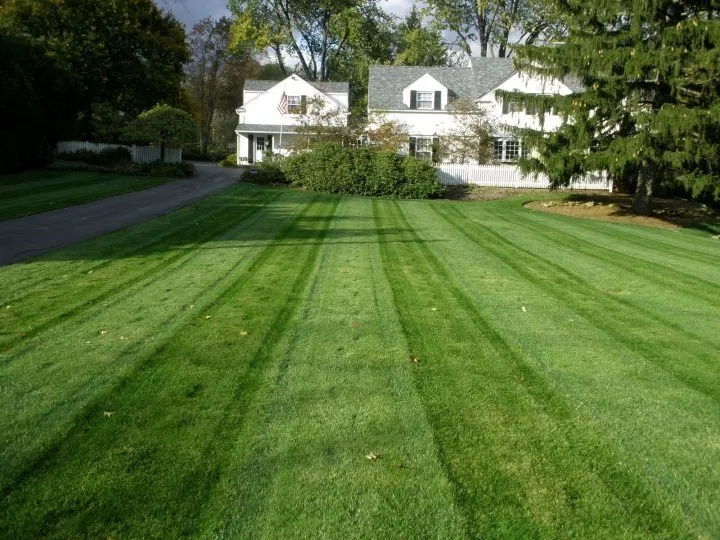 Affordable residential landscaping experts serving Wake Forest, NC - Bowman's Landscaping & Lawn care