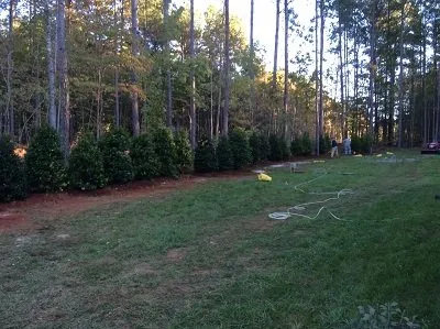Expert landscaping services in Wake Forest, NC - Bowman's Landscaping & Lawn care