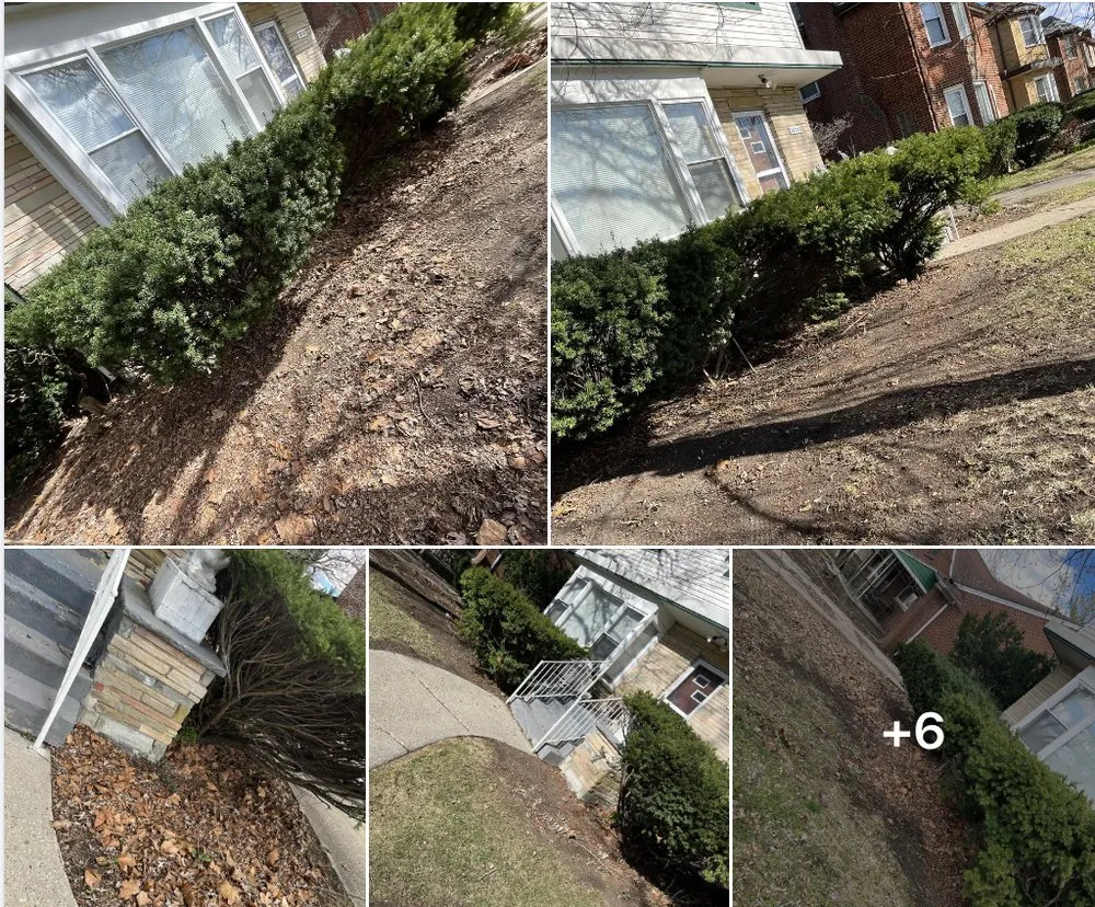 Reliable outdoor landscaping for homes across Detroit, MI - Bowman's Lawn Care