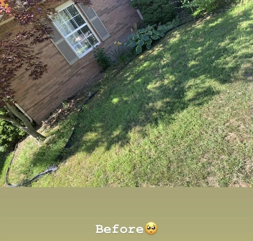 Custom lawn mowing service in Detroit, MI by Bowman's Lawn Care