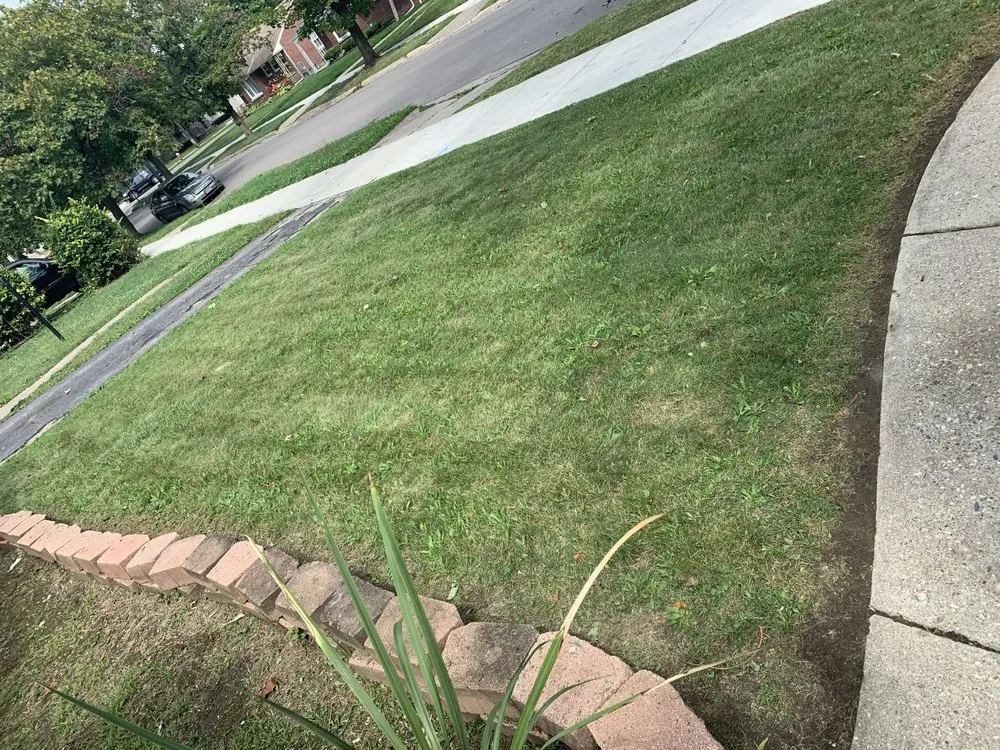 Reliable outdoor landscaping in Detroit, MI - Bowman's Lawn Care