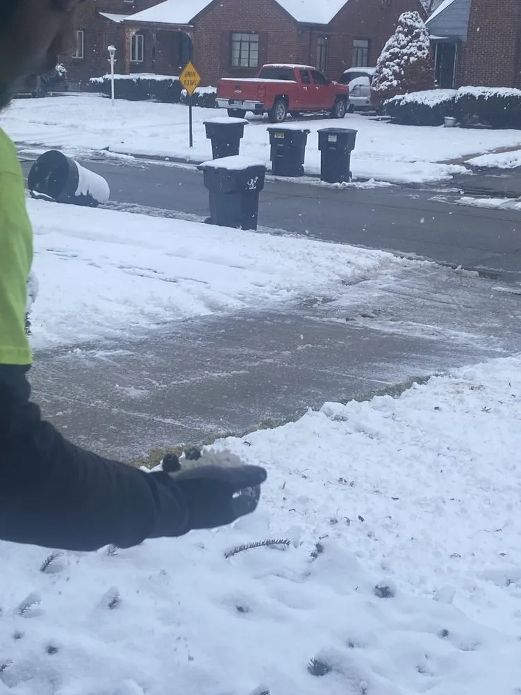 Affordable yard cleanup service for homes in Detroit, MI by Bowman's Lawn Care