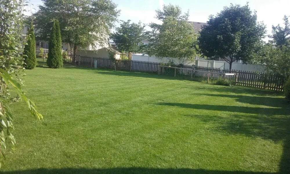 Top-rated landscape design in Monticello, IL by Bowman's Lawn Care