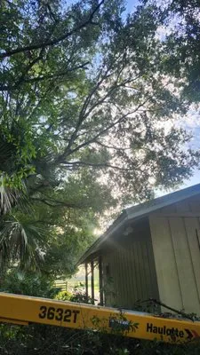 Bowmans Property Landscaping Logo