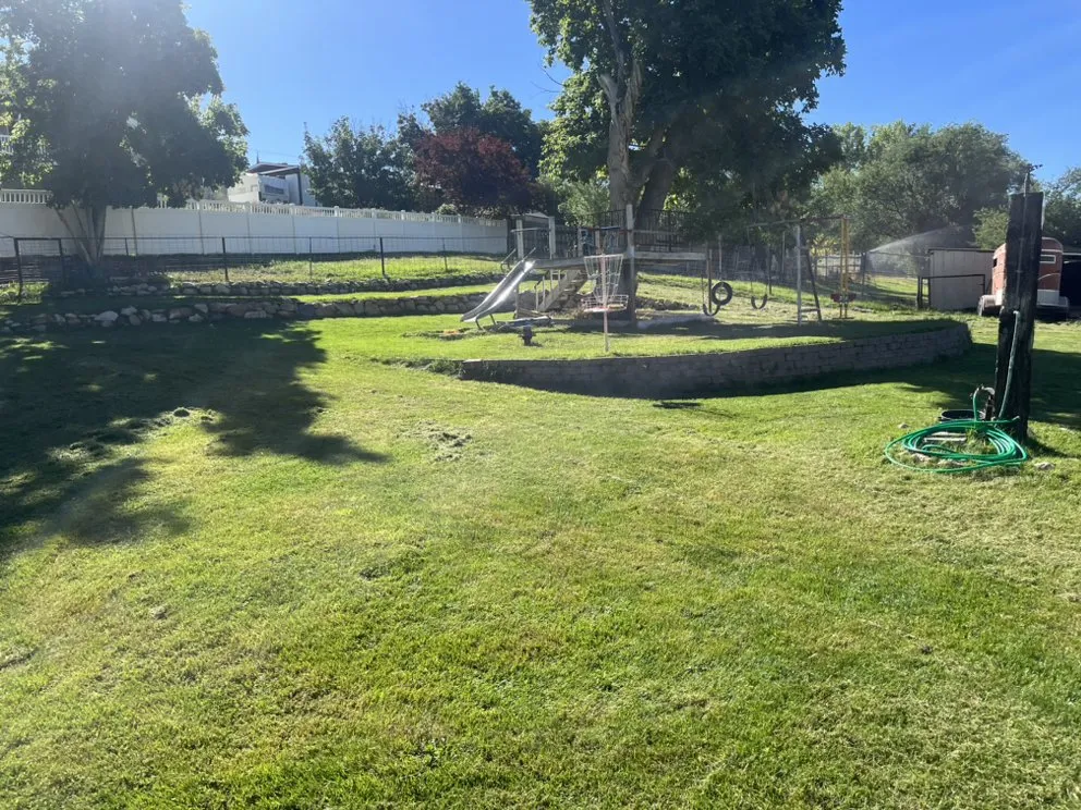 Professional yard cleanup service for year-round maintenance across Brigham City, UT - Box Elder All Pro