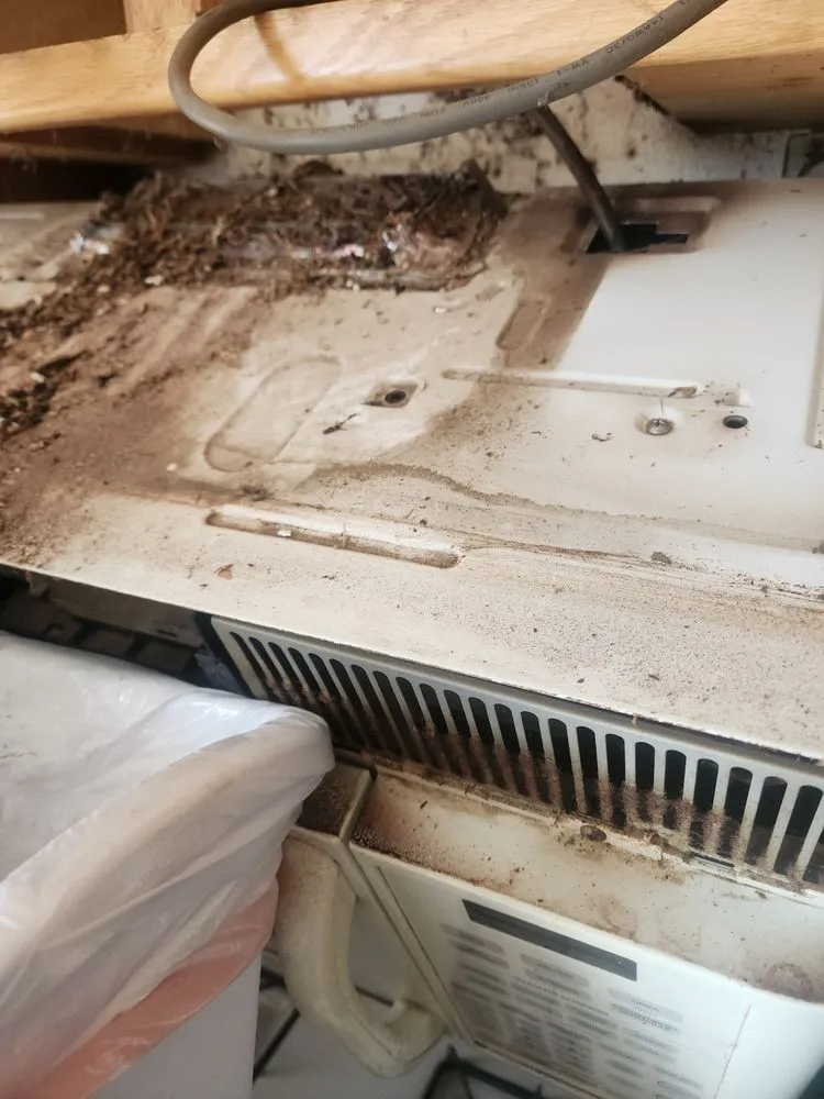 Trusted landscape installation in Yuba City, CA by Boxpro Express Haul & Handyman