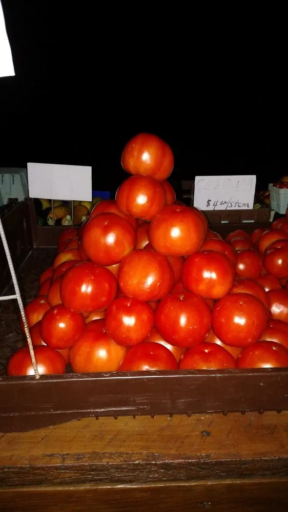 Custom landscaping services experts serving Bel Air, MD - Boxwood Farms Nursery & Landscaping