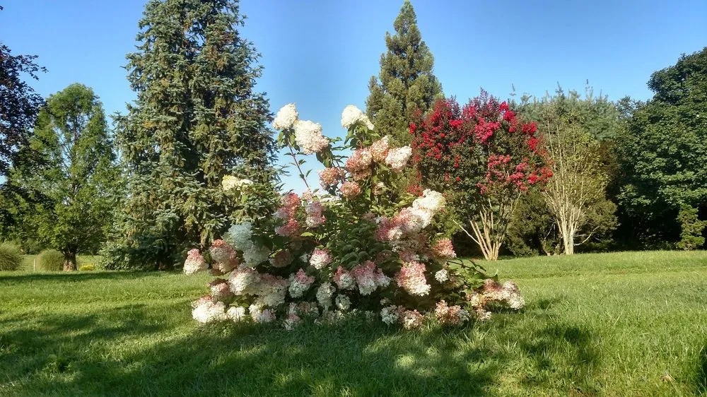 Reliable lawn mowing service in Bel Air, MD by Boxwood Farms Nursery & Landscaping