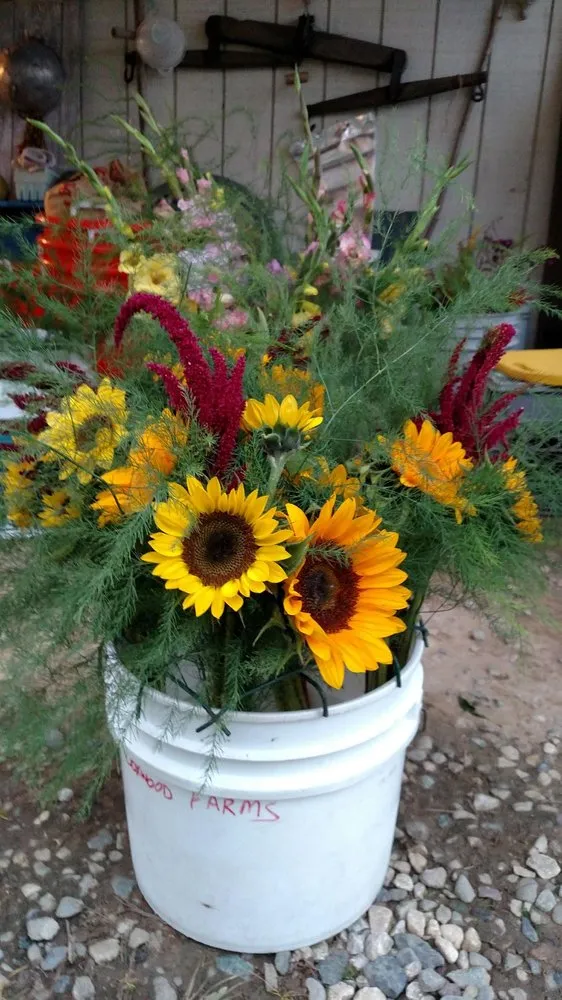 Local yard cleanup service in Bel Air, MD - Boxwood Farms Nursery & Landscaping