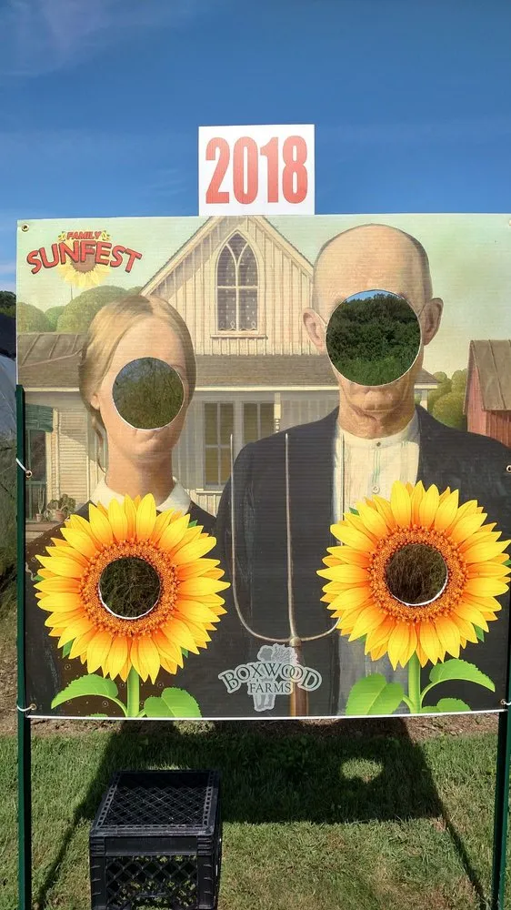 Reliable outdoor landscaping in Bel Air, MD by Boxwood Farms Nursery & Landscaping