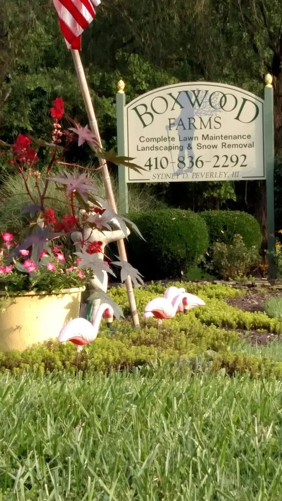 Affordable residential landscaping for beautiful yards across Bel Air, MD - Boxwood Farms Nursery & Landscaping