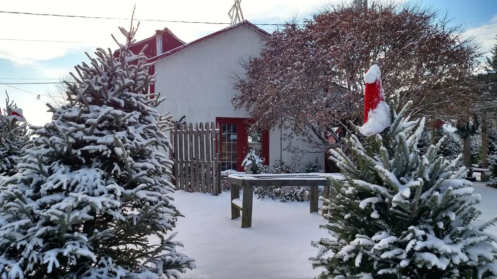 Custom garden landscaping experts serving Bel Air, MD - Boxwood Farms Nursery & Landscaping