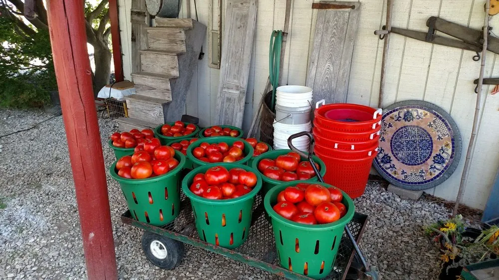 Affordable garden landscaping for residential properties across Bel Air, MD - Boxwood Farms Nursery & Landscaping