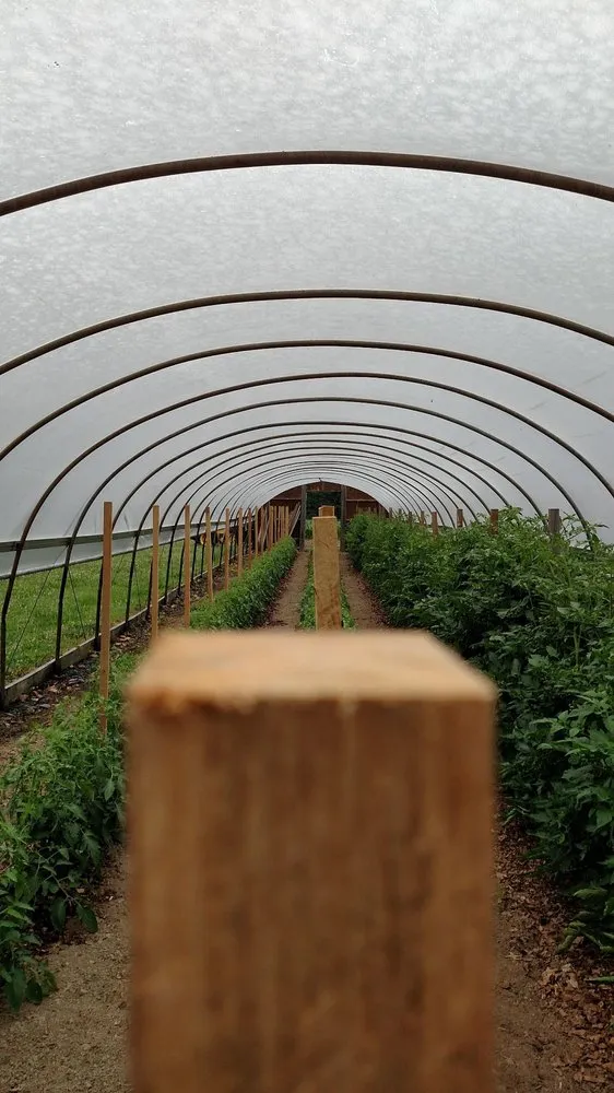 Local outdoor landscaping near you in Bel Air, MD by Boxwood Farms Nursery & Landscaping