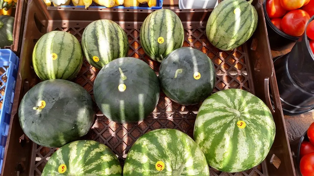 Professional residential landscaping experts serving Bel Air, MD - Boxwood Farms Nursery & Landscaping