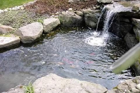 Trusted residential landscaping for year-round maintenance across Gibsonia, PA - Boyce Landscape Solutions