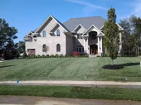 Local yard cleanup service experts serving Gibsonia, PA - Boyce Landscape Solutions