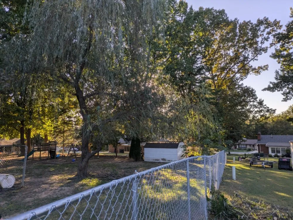 Affordable landscaping services for homes in Mountain Home, AR by Boyces HandyWork