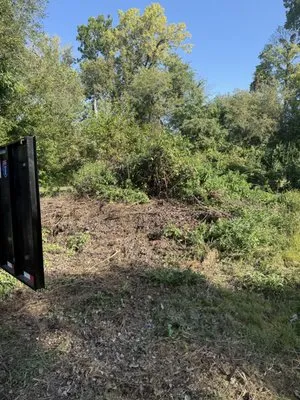 Boyd Boys Lawn Care and Junk Removal Logo