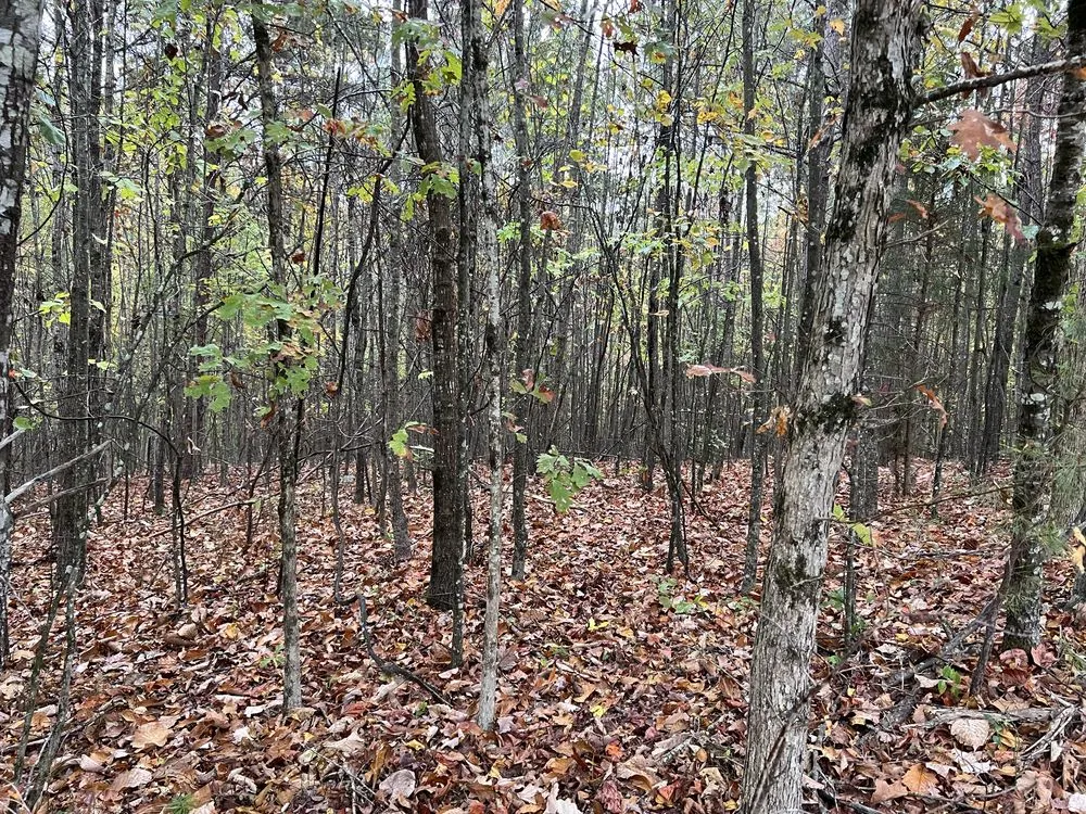 Reliable garden landscaping in Kennesaw, GA - Boyd Landscape Services