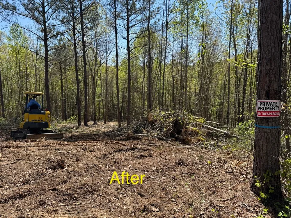 Professional lawn care service in Kennesaw, GA - Boyd Landscape Services