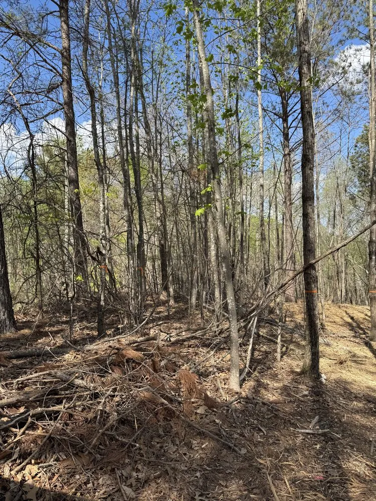 Professional landscaping services for year-round maintenance in Kennesaw, GA by Boyd Landscape Services