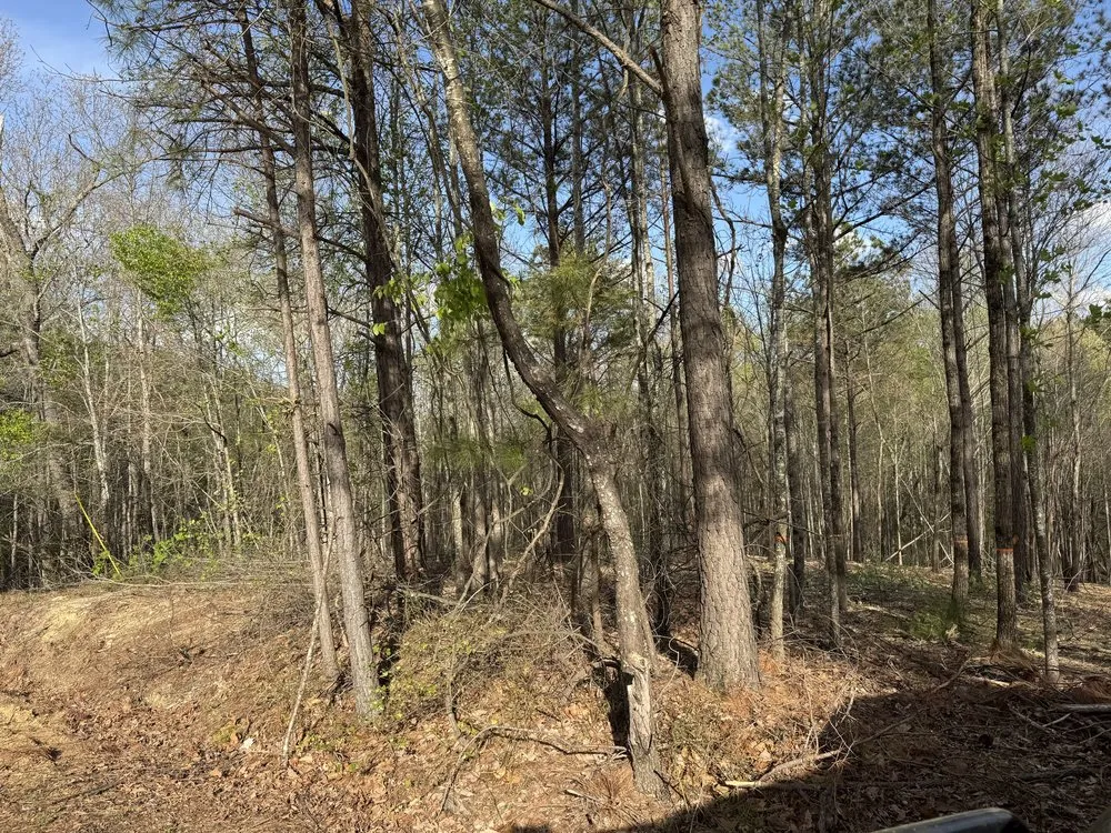 Expert lawn mowing service near you in Kennesaw, GA by Boyd Landscape Services