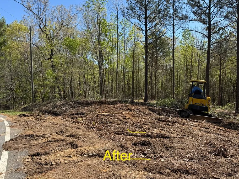 Expert yard cleanup service in Kennesaw, GA - Boyd Landscape Services