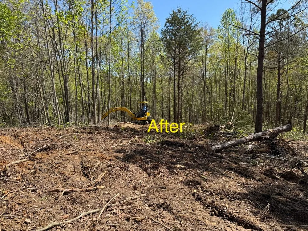 Trusted yard maintenance in Kennesaw, GA by Boyd Landscape Services