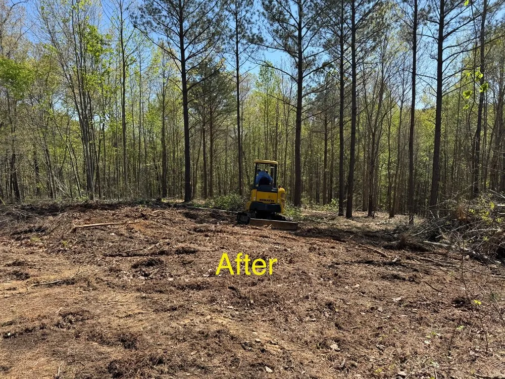 Trusted lawn care service for outdoor upgrades across Kennesaw, GA - Boyd Landscape Services