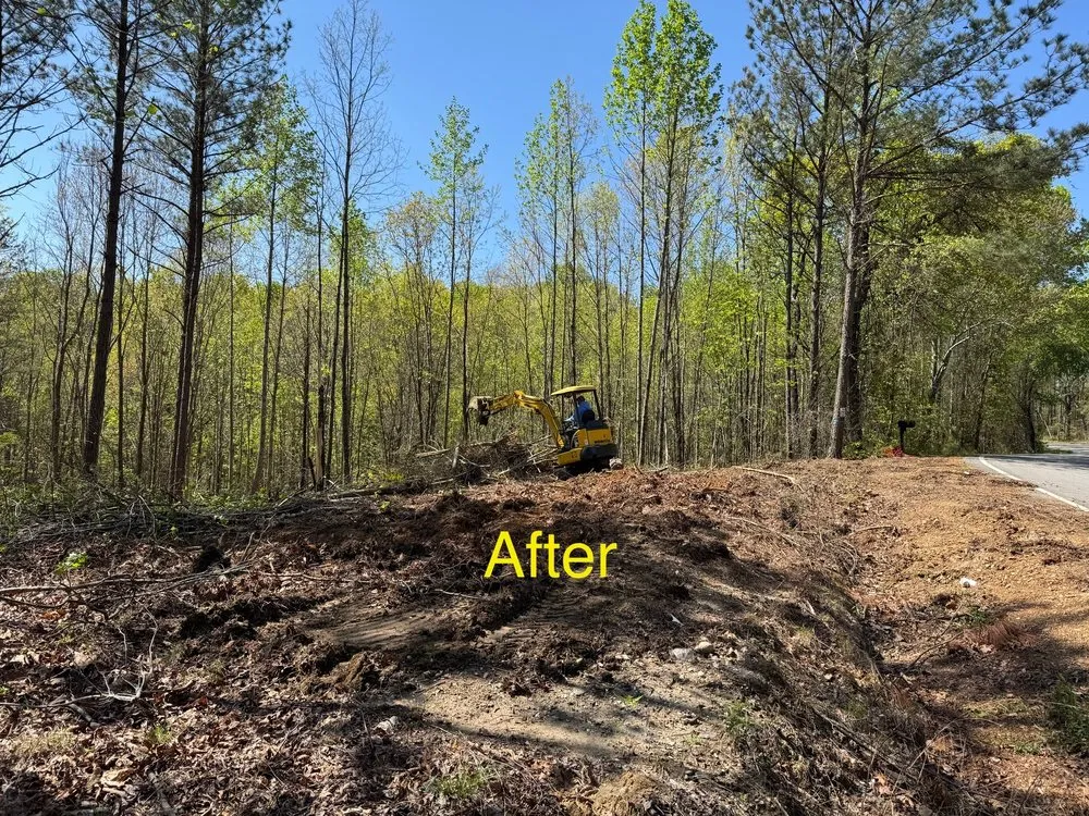 Top-rated outdoor landscaping for homes in Kennesaw, GA by Boyd Landscape Services