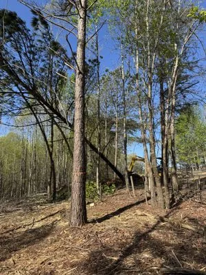 Boyd Landscape Services