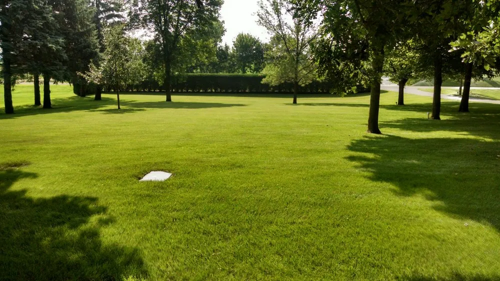 Affordable yard cleanup service for outdoor upgrades across Kensington, MN - Boyd Lawn