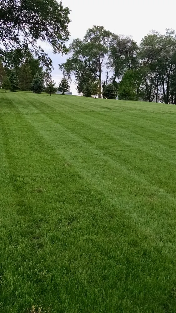 Top-rated landscape design for year-round maintenance across Kensington, MN - Boyd Lawn