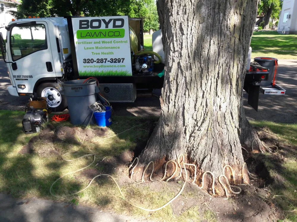 Local yard cleanup service for homes across Kensington, MN - Boyd Lawn