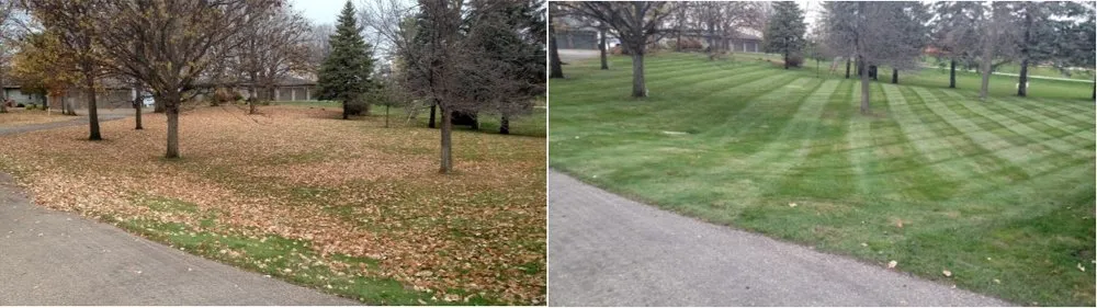 Top-rated yard cleanup service in Kensington, MN - Boyd Lawn