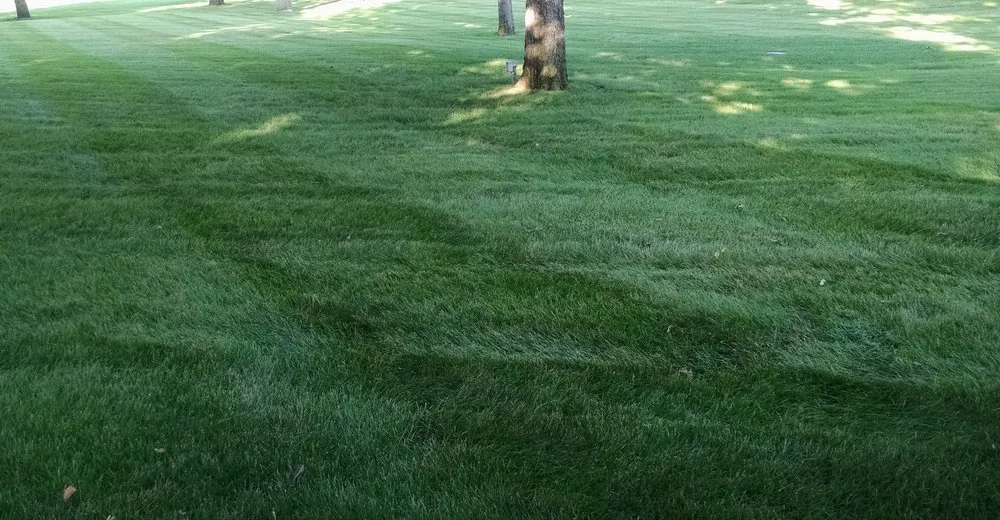 Top-rated outdoor landscaping experts serving Kensington, MN - Boyd Lawn