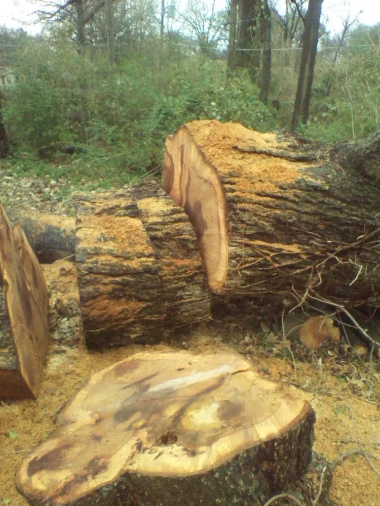 Affordable yard cleanup service with custom design across Somerville, TN - Boyd's Complete Tree Service