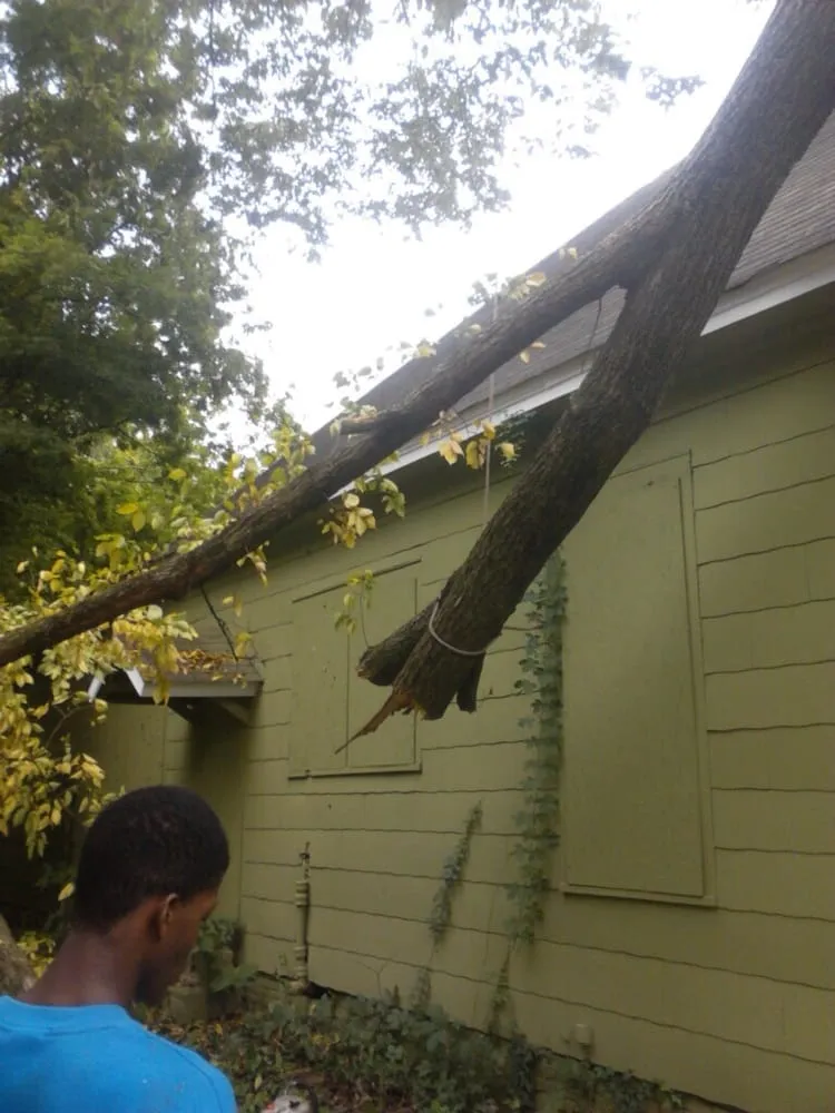 Affordable lawn care service near you across Somerville, TN - Boyd's Complete Tree Service