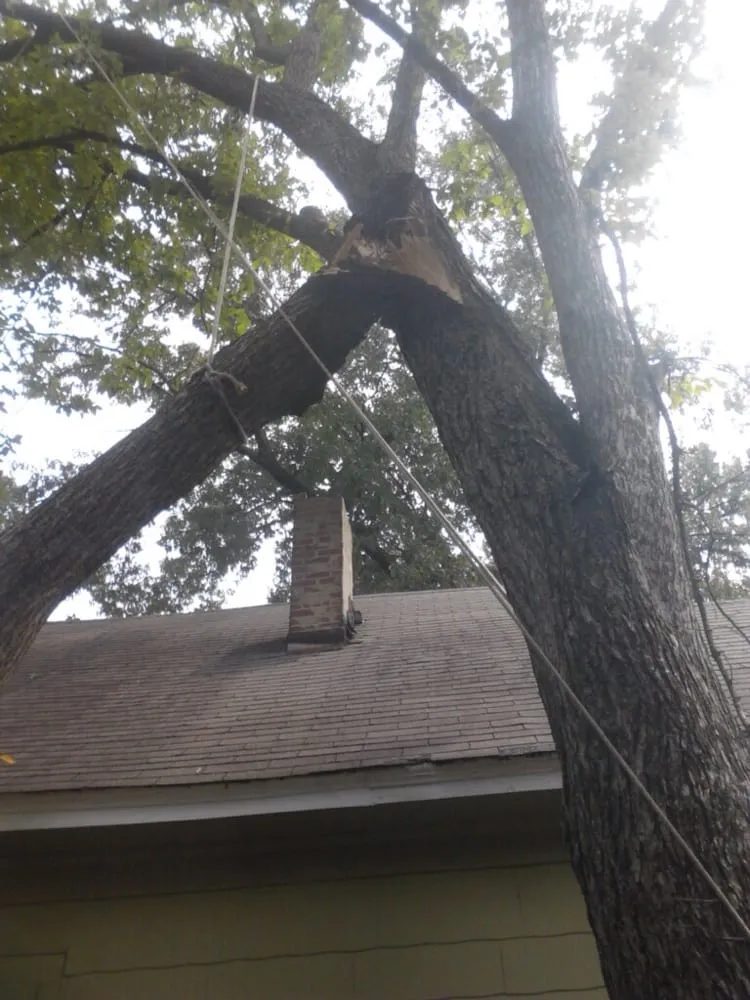 Affordable yard maintenance for year-round maintenance in Somerville, TN by Boyd's Complete Tree Service