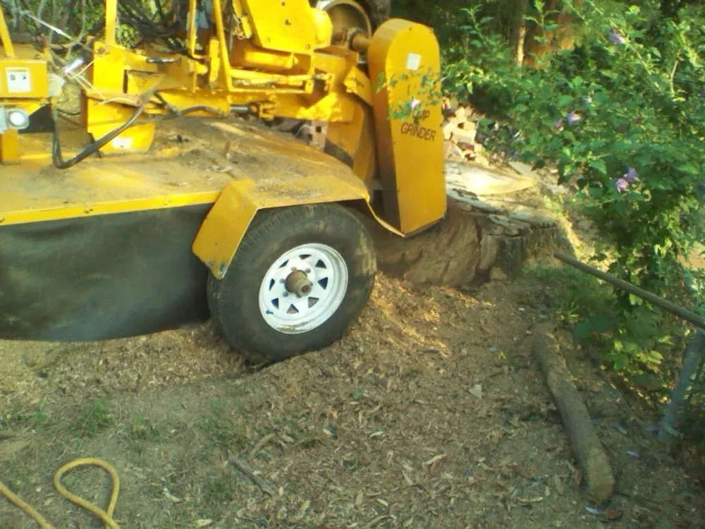 Affordable lawn mowing service in Somerville, TN - Boyd's Complete Tree Service