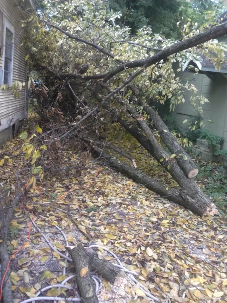 Affordable outdoor landscaping in Somerville, TN - Boyd's Complete Tree Service