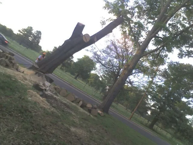 Reliable landscaping services for homes across Somerville, TN - Boyd's Complete Tree Service