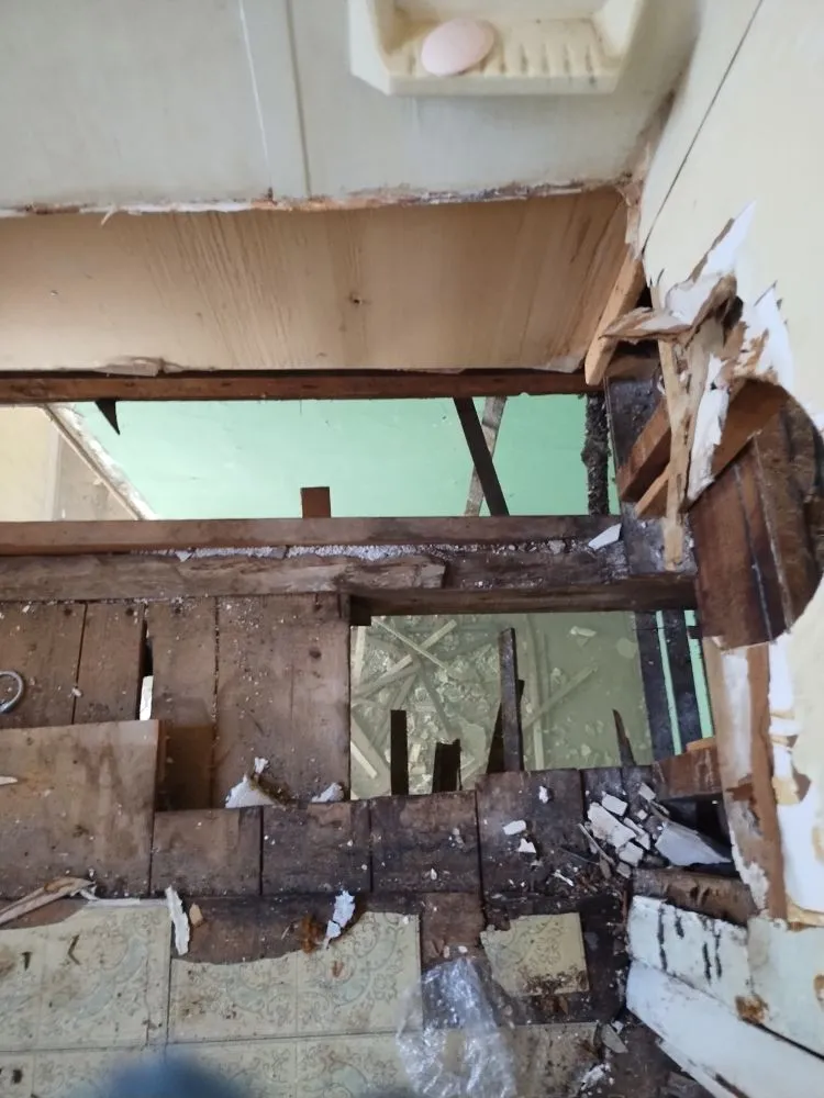 Professional yard maintenance in Philadelphia, PA by Boyds Contracts