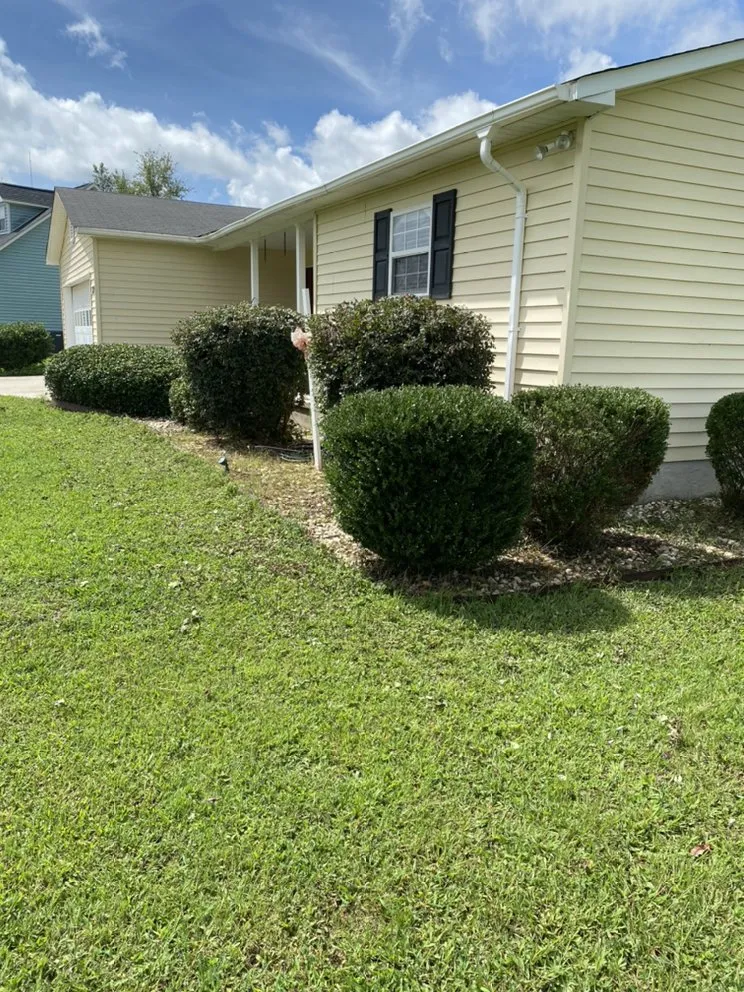Reliable yard cleanup service in Belvedere, SC by Boyd’s Landscape Maintenance
