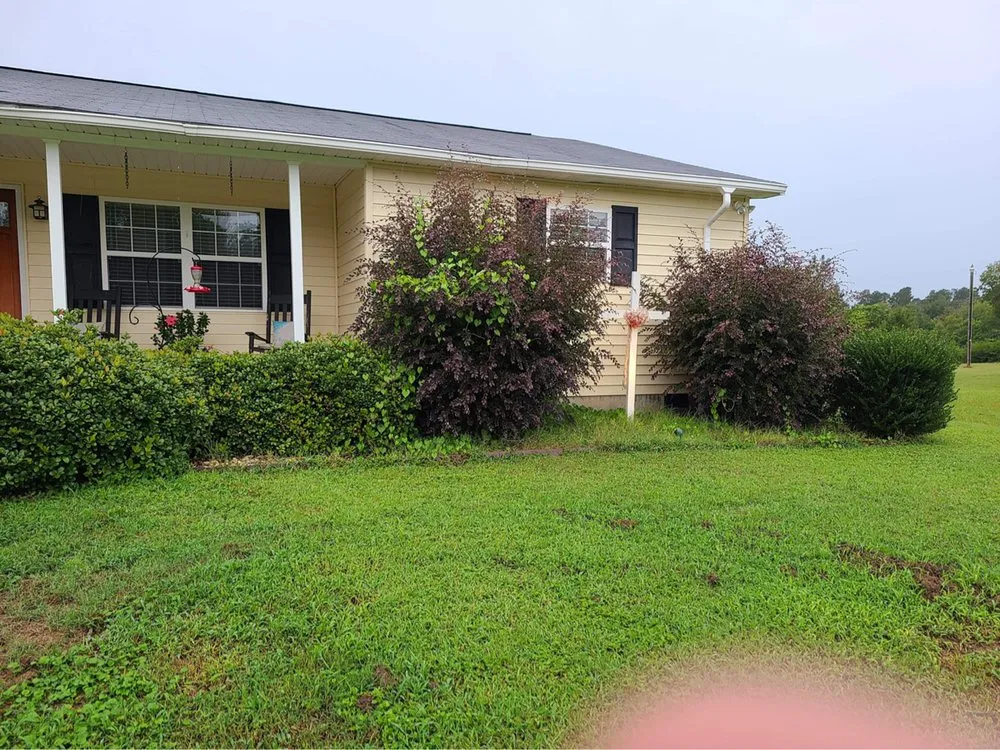 Reliable yard cleanup service experts serving Belvedere, SC - Boyd’s Landscape Maintenance